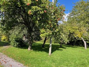 Garden - click for photo gallery